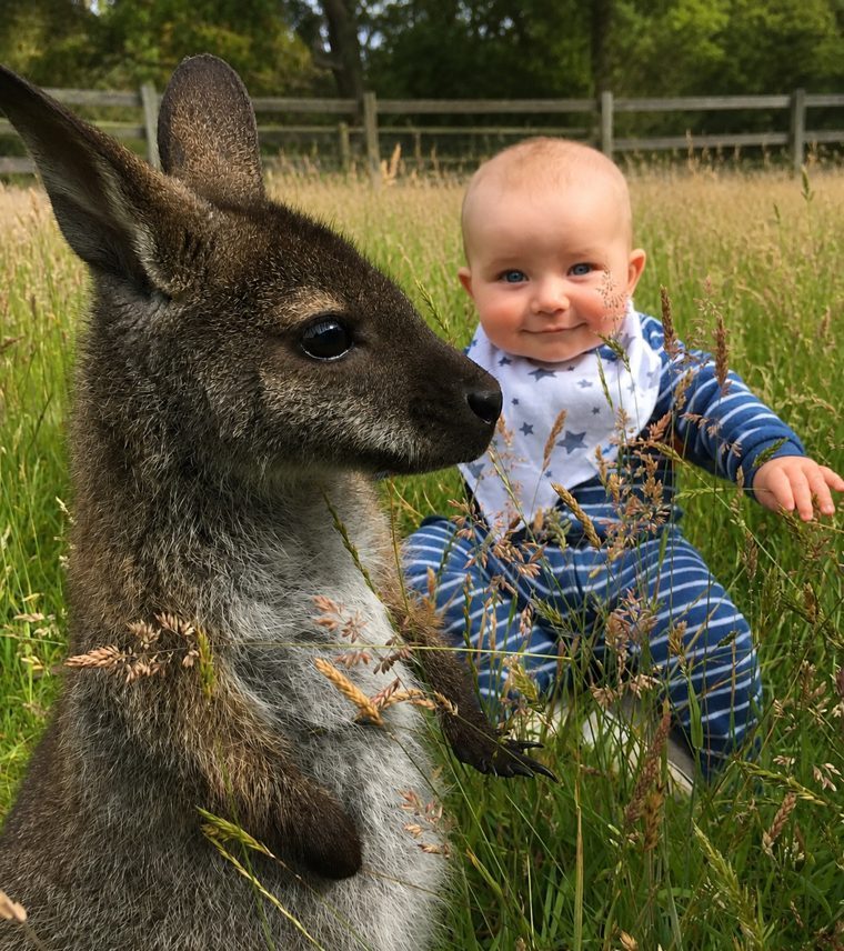 ABC Christmas in Australia
